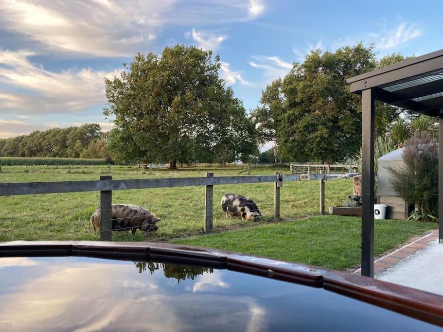 Lyeinn - Newstead Country Retreat Luaran gambar